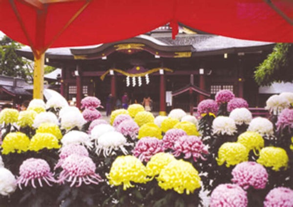 【群馬県内発】 群馬県民ミステリーツアー 日帰り1